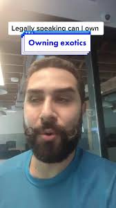 Why We Should Ban Private Ownership of Exotic Animals