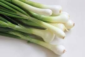 Can Dogs Eat Green Onions Doggypure