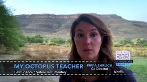 Environmental storyteller, conservation journalist for the save our seas foundation. Sa Documentary My Octopus Teacher Wins Big At Critics Choice Awards Channel