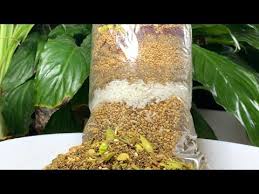 وصفة الزعتر الحلبي على الأصول زعتر الدقة بأشهى وصفة Youtube Cooking Recipes Dipping Sauce Recipes