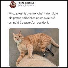 Make new friends, find a date, show off your talents, ask for advice, talk politics, or just enjoy a laid back video chat with someone you otherwise. 8 646 Mentions J Aime 30 Commentaires Faits Inconnus Faits Inconnus Sur Instagram Abonne Toi Faits Inconnus Oublie Moi Faire Soi Meme Chat