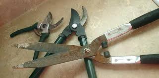 2 slide the sharpener over the bevel edge of the blade, following the angle of the bevel in one. How To Sharpen Pruning Tools Page 2 Of 7 Today S Homeowner