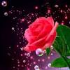 Buon mercoledi immagini nuove buongiornissimocaffeit. Https Encrypted Tbn0 Gstatic Com Images Q Tbn And9gcqiw Rc5 Txuqg6efpxpspet1jlqkzb Jkfyzo7ho7mchb Osem Usqp Cau