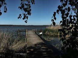 Mieten sie ein ferienhaus weg von der masse. Haus Am See Mit Seeblick Bootssteg Ruderboot Sauna Houses For Rent In Luckow Mecklenburg Vorpommern Germany