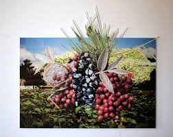 Image result for Lannea edulis