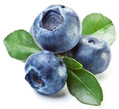 Fabulous Fruits Installment One Apples Bananas And Blueberries Blueberry Season Fruit Names Blueberry