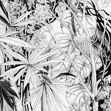 Jungle Drawing Fine Art Print Tropical Decor Rainforest Etsy Jungle Drawing Jungle Pictures Jungle Illustration