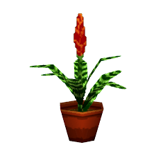 Image result for Bromeliaceae