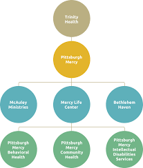 Our Org Chart Pittsburgh Mercy