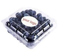 Best Selling Clear Plastic Blueberry Containers - Durable ...