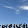 Germany's Population with Immigration Background Hits 21.8 Million in 2025