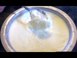 probiotic yogurt from natural raw milk