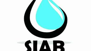 Officially founded on march 11th 1976. Siab Universitas Sebelas Maret Indonesia Imagine Cup