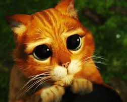 Motanul incaltat (2011) online dublat in romana. GrÄƒmadÄƒ De Lumini FricÄƒ Motanul Incaltat Film Macrodesign Ro