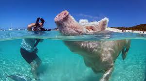 Albaa_mt onlyfans such a vibe!! Lalynn is very beautiful