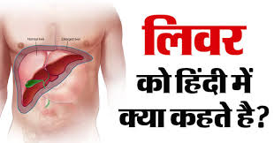 पाइथन में keywords क्या होते हैं? à¤² à¤µà¤° Liver à¤• à¤¹ à¤¦ à¤® à¤• à¤¯ à¤•à¤¹à¤¤ à¤¹