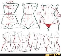 Human body, woman running, muscular system, treadmill, gym. Picture Memes C2wviryw8 By Professorparrot2 458 Comments Ifunny In 2021 How To Draw Abs Female Anatomy Reference Anatomy Tutorial