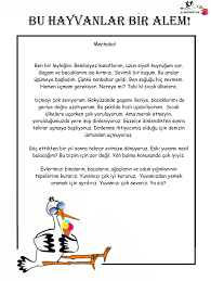Goruntunun Olasi Icerigi Yazi Hayvanlar Okuma Calismasi Okuma