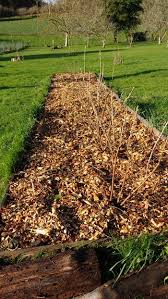 Le Brf Utilisation Dans Un Jardin Esprit Laita Entretien Du Jardin Jardins Amenagement Jardin