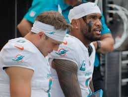 Image result for Dovyalis hispidula