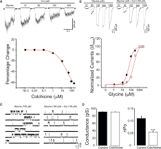 When colchicine is used to prevent gout attacks or to treat fmf, it is usually taken once or twice a day. Frontiers Inhibition Of The Glycine Receptor Alpha 3 Function By Colchicine Pharmacology