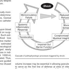 Pdf Pathophysiology Of Fluid Balance