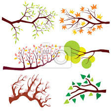 D'autres idées feuille mouillée + encres encres idées créatives et faciles de bricolage d'automne avec des feuilles d'arbre. Branche Darbre Avec Des Feuilles Et Des Fleurs Nature Fleur Peintures Murales Tableaux Endiguer Croissance Ecologie Myloview Fr
