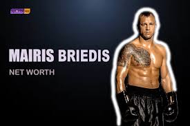 Prior to turning professional, lomachenko competed in the lightweight division of the world series of boxing (wsb) from january to may 2013. Mairis Briedis Net Worth In 2021 Sports404 Boxing Updates