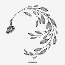 Dessin Au Trait Feuille De Fleur Plante Noir Et Blanc Noir Et Blanc Plante Noir Et Blanc Usine De Dessin Au Trait Fichier Png Et Psd Pour Le Telechargement L En 2020