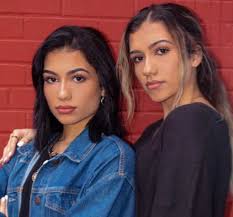 We are twins from new york who love to make youtube videos! Tiktok S Most Influential Siblings D Amelio Sisters Mian Twins More Dexerto