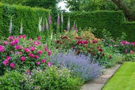 Roses are among the most diverse and versatile of all ornamental flowering plants. 11 Rose Border Garden Ideas Flower Garden Garden Design Garden