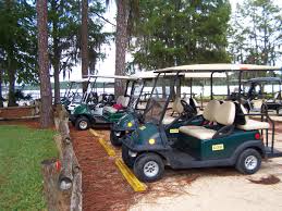 Maybe you would like to learn more about one of these? Camping At Disney Fort Wilderness Review Wanderwisdom