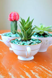 Maybe you would like to learn more about one of these? Diy Teacup Gardens And Planters The Garden Glove