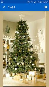 From top soil to seed, we have a wide variety of lawn care products to choose from, depending on your needs. Homebase 7ft Maryland Fir Christmas Tree In West Dorset For 40 00 For Sale Shpock