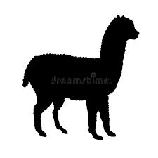 Alpaca Silhouette Stock Illustrations 1 409 Alpaca Silhouette Stock Illustrations Vectors Clipart Dreamstime The best selection of royalty free llama silhouette vector art, graphics and stock illustrations.