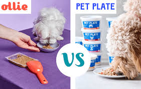 With so many different types of dog food delivery services, it's impossible to choose a single winner. Ollie Vs Pet Plate Review Should You Switch To Fresh Dog Food