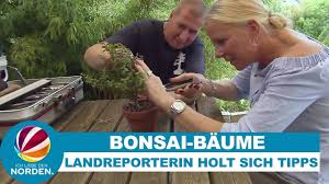 Bonsai Baum Richtig Pflegen Die Landreporterin Holt Sich Tipps Beim Experten Youtube