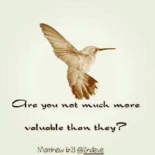 Jesus Birds Of The Air Do Not Worry Jesus Instructed His Disciples In Matthew 6 25 26 Look At The Birds Of The Air They Do Not Sow Or Names Of Jesus Bible Store Christian Quotes