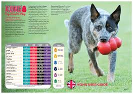 Kong Size Guide Which Is Right For Your Pet Alcombe