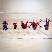 Human design • energy sovereignty • money healing • abundance activation. Real Hearts Comparative Hearts In Resin Oddities Curiosities Oddities For Sale