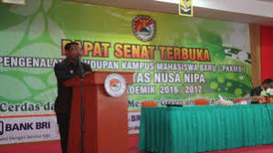 Otherwise, the modification will not be reported in the portal record. Pemkab Sikka Akan Benahi Taman Kota Dan Bangun Empat Tugu Di Maumere Portal Ntt Portal Ntt