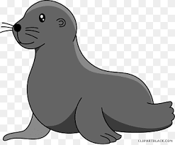 Cartoons zeichnen cartoon tiere zeichnen zeichnen lernen für kinder comics. Baby Elefant Seelowe Walross Harfenrobbe Baby Harfe Robben Hafen Robbe Graue Robbe Elefant Robbe Harfenrobbe Baby Harfenrobben Schnabel Png Pngwing