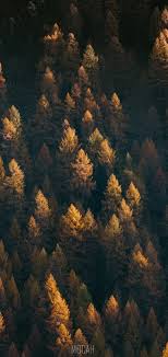 Search free r15 wallpaper wallpapers on zedge and personalize your phone to suit you. 293748 Tree Formation Geology Rock Green Oppo R15 Wallpaper Hd Download 1080x2280 Mocah Hd Wallpapers