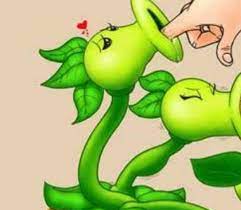 I don't even want to know why they cropped the right side of the image. I  hope it's not what I think it is. : rPlantsVSZombies