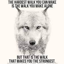 Lone Wolf Motivational Video Wolf Quotes Lone Wolf Quotes Lone Wolf