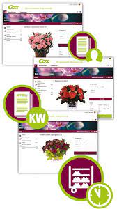 Webshop Gebruder Cox Gmbh Blumengrosshandel