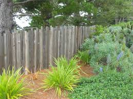 You often see them surrounding acreages, grazing areas and large properties. Backyard Fencing Ideas Landscaping Network
