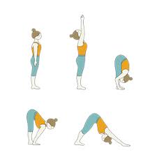 Resultado de imagen para ADHO MUKHA SVANASANA