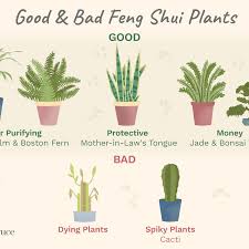 We did not find results for: Good And Bad Feng Shui Plants