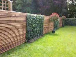 Contemporary Fence With Ivy Evergreen Plants Contemporary Garden Contemporary Fencing
